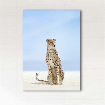 Obraz - Afryka, gepard  - wydruk na płótnie