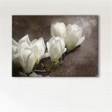 Obraz - Magnolia  - wydruk na płótnie